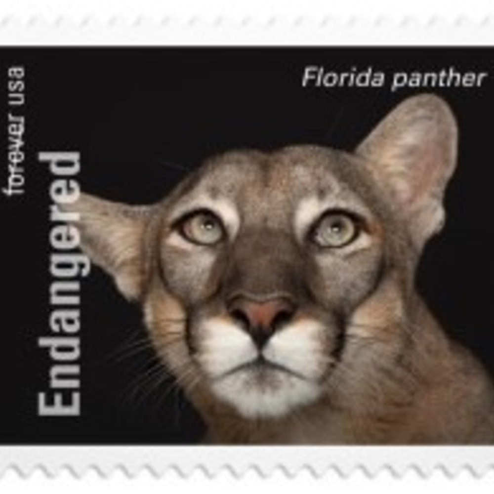 2023 US Endangered Species First Class Postage Forever Stamps
